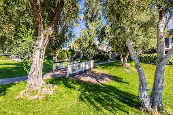 Orange Tree Villa Apartments property